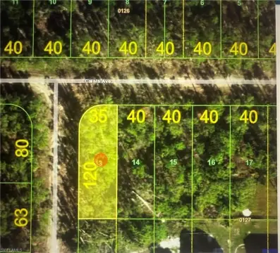 Punta Gorda Corner Lot