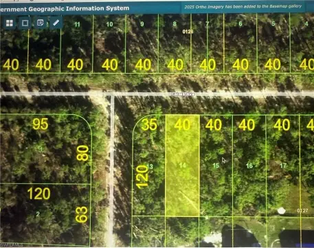 Residential Land in Punta Gorda