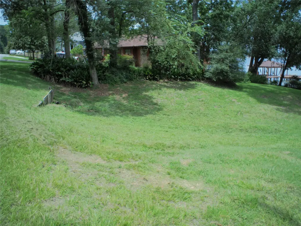 Picture 12