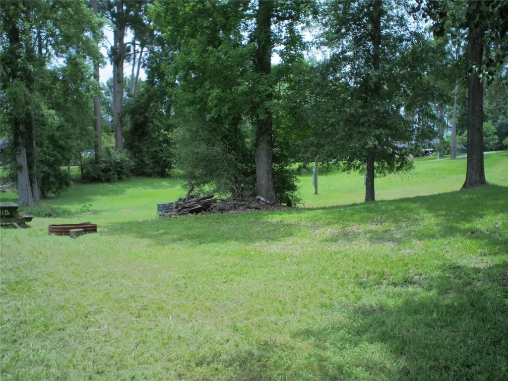 Picture 7