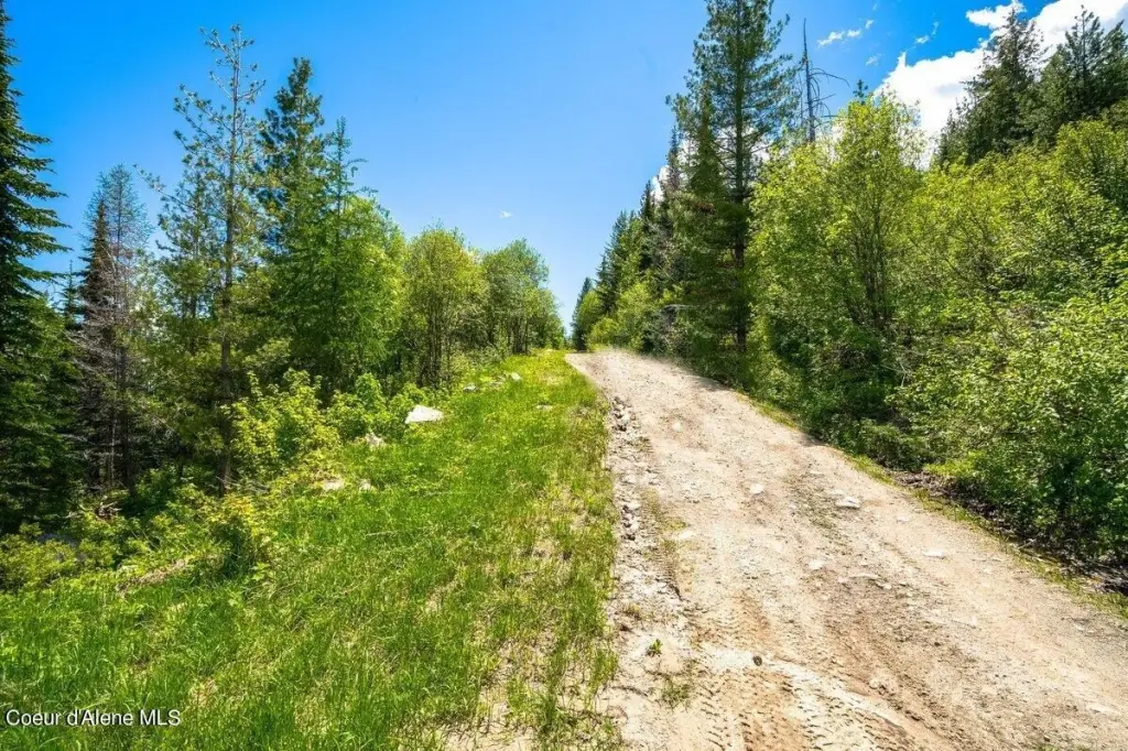 Picture 29
