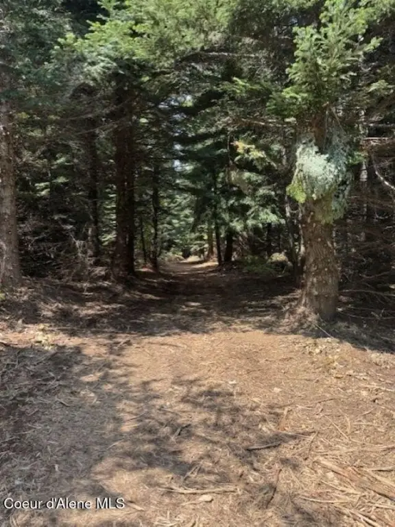 Picture 12
