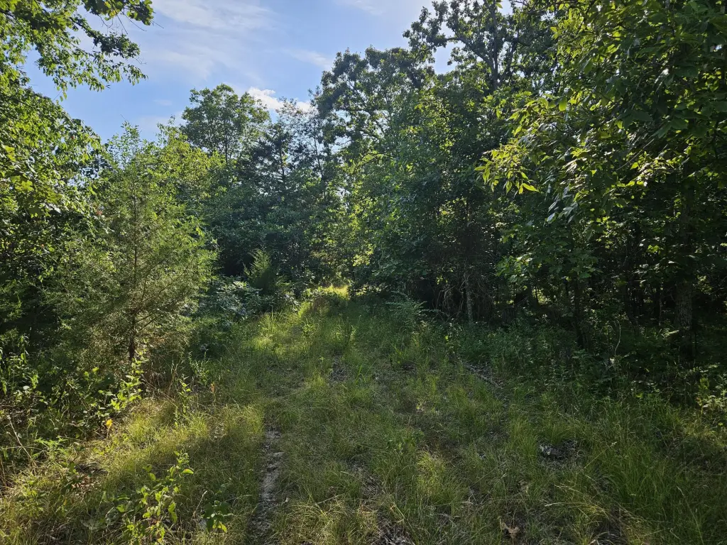 Picture 21
