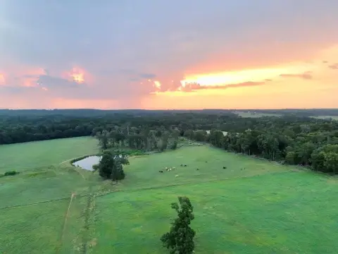 Prime 17.9-Acre East Texas Land