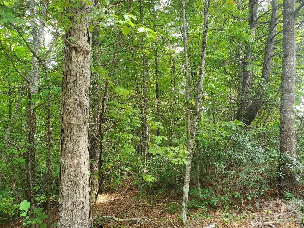 Picture 29