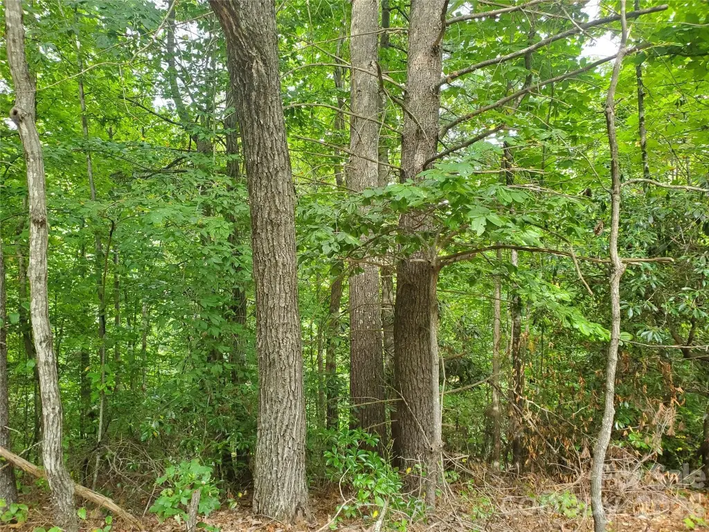 Picture 23