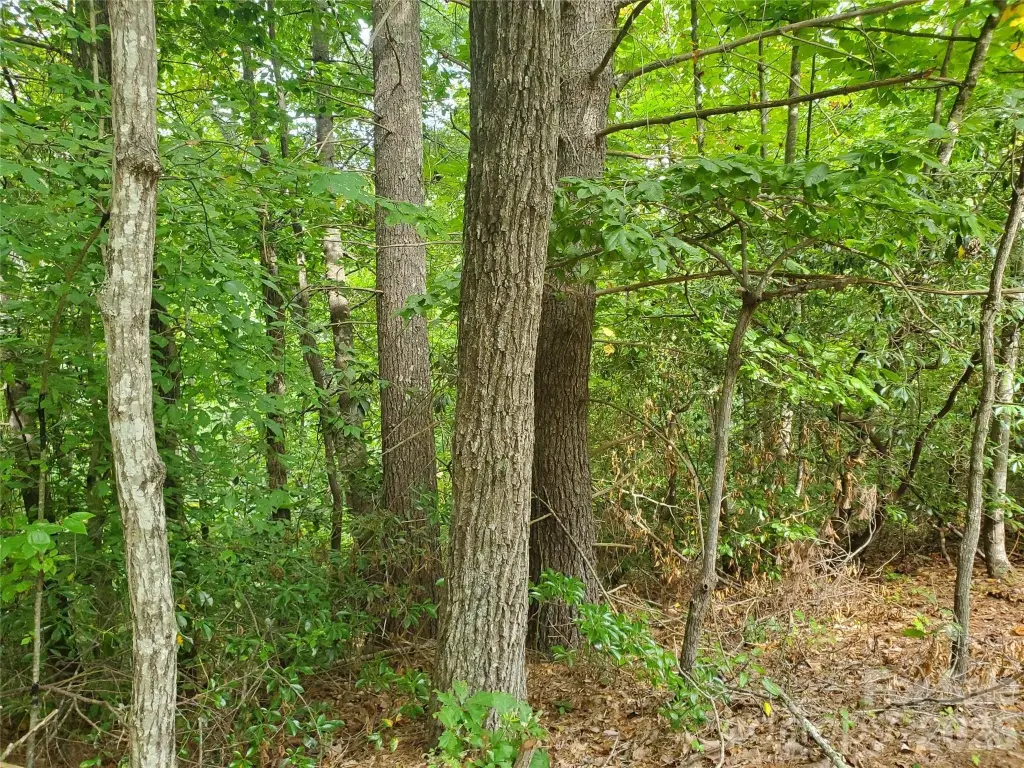 Picture 22