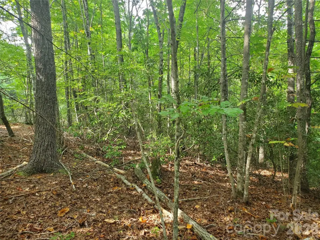 Picture 28