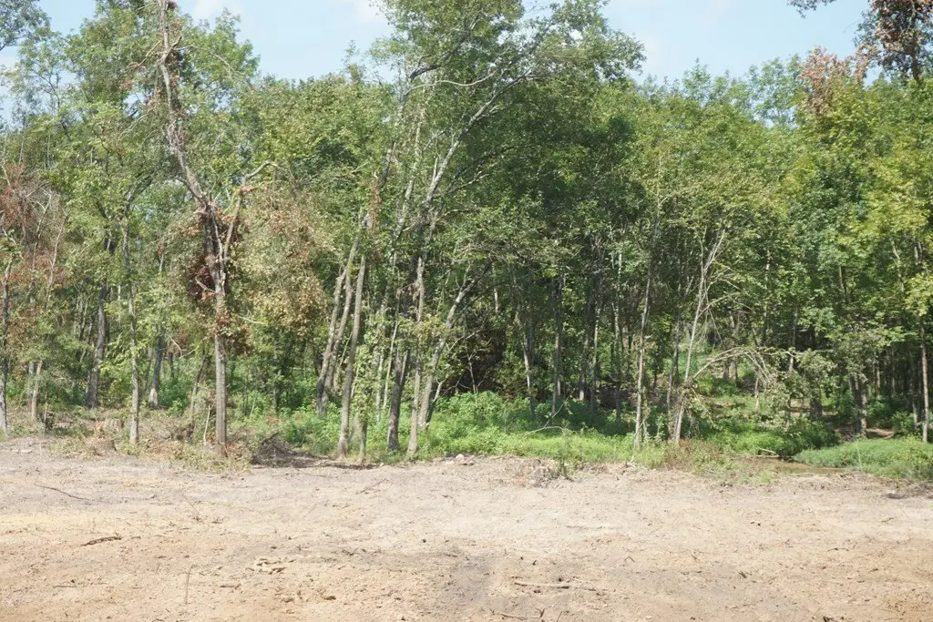 Picture 4