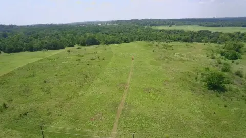 5 Acre Lot in Palestine