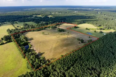 80 Acres Near National Forest