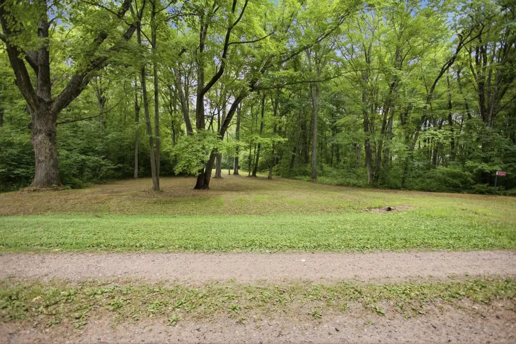 Picture 25