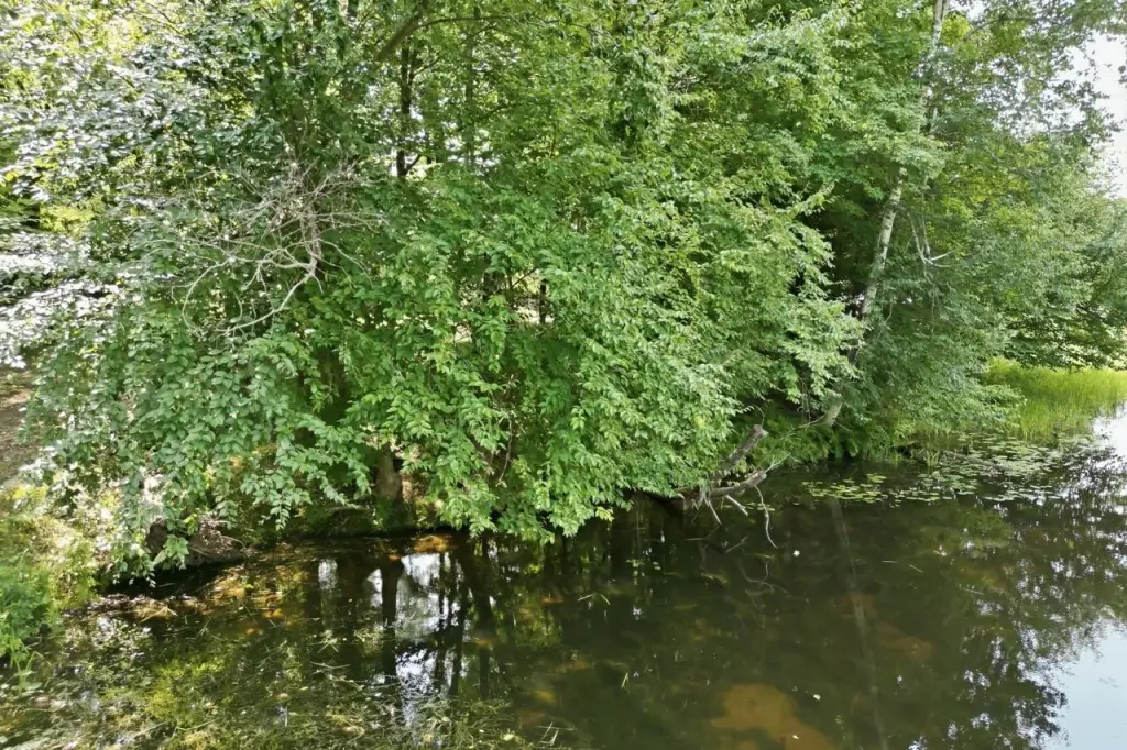 Picture 26