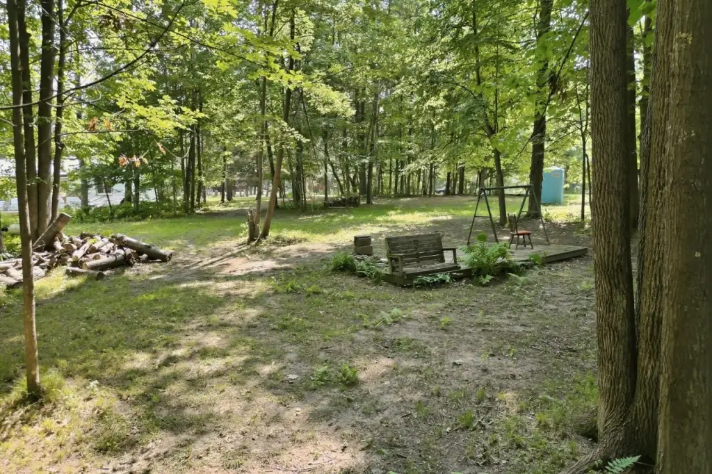 Picture 29