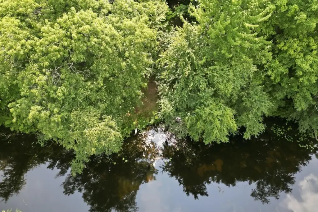 Picture 23