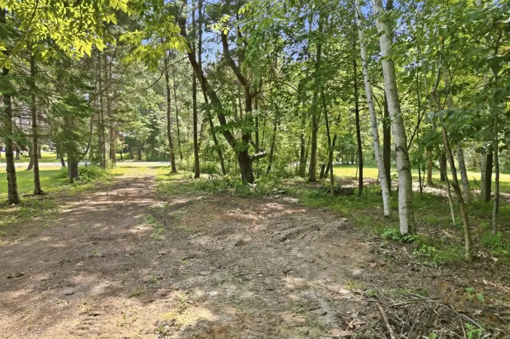Picture 31