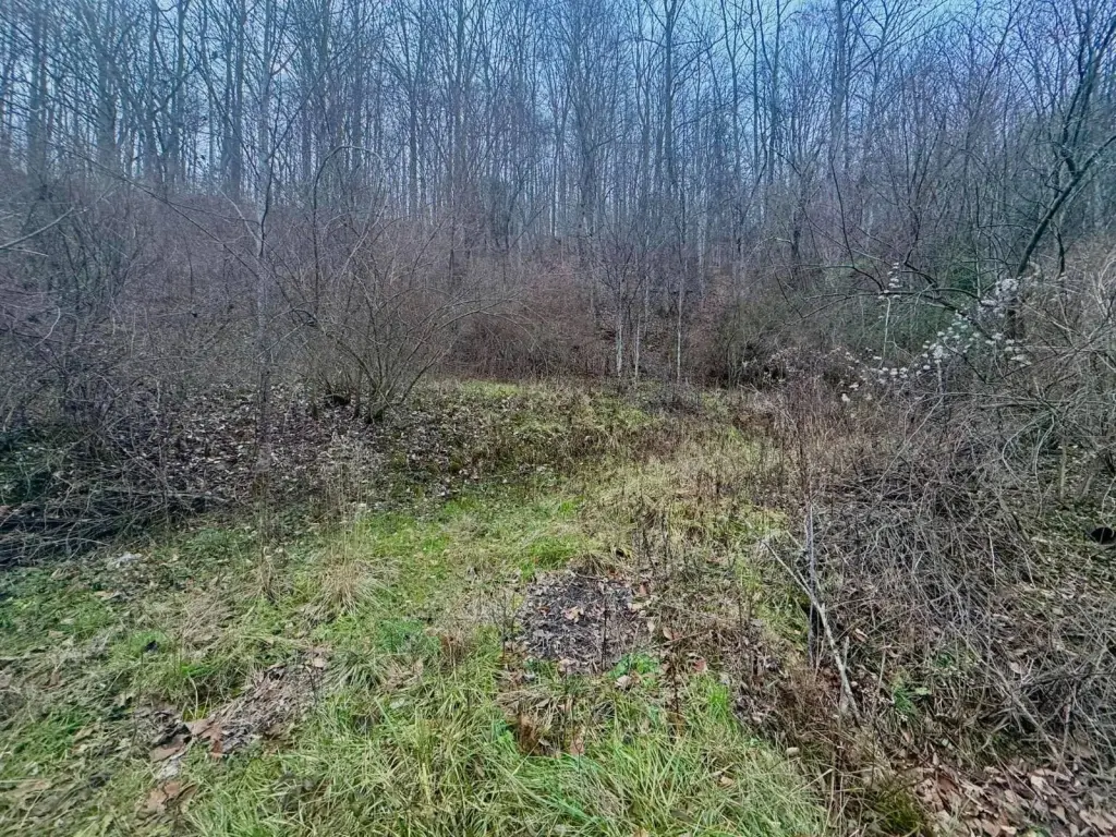 Picture 9