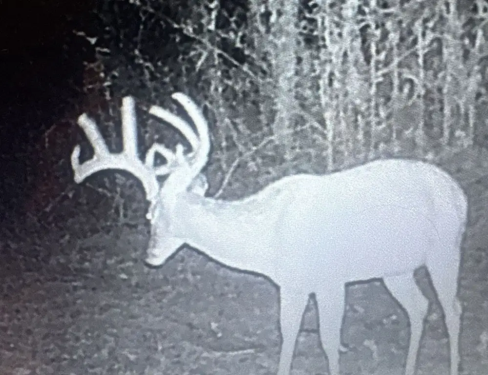 Picture 10