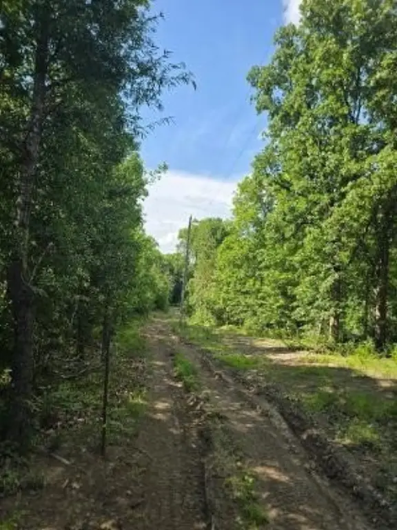 Picture 5