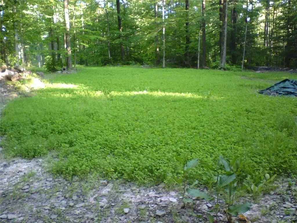Picture 27