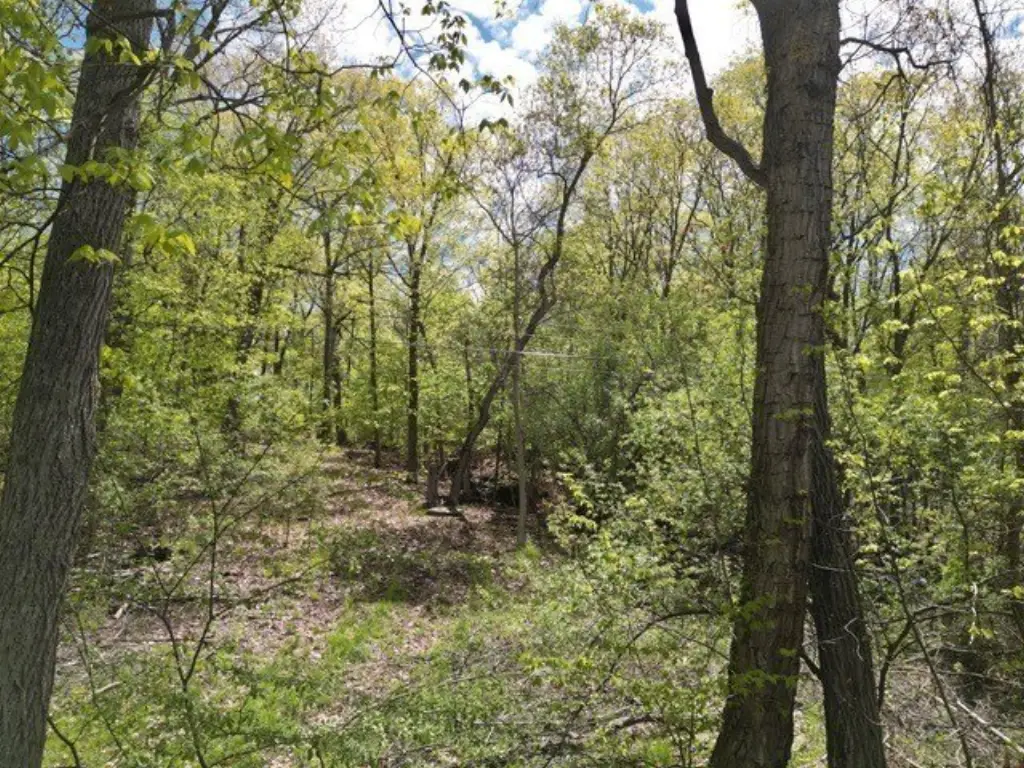 Picture 19