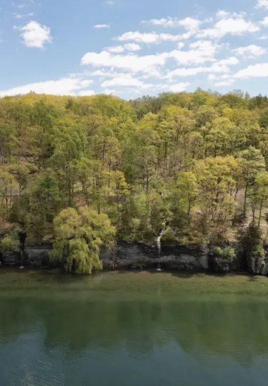 Picture 12
