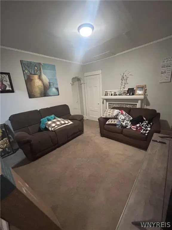 Picture 15
