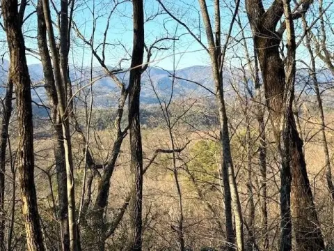 7 Acres in Puett Cove