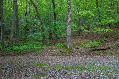 BRASSTOWN, NC Wooded Subdivision Lot