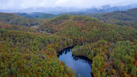 Heavily Wooded Land Near Lake
