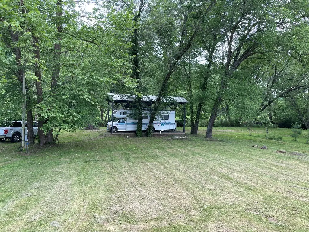Picture 5