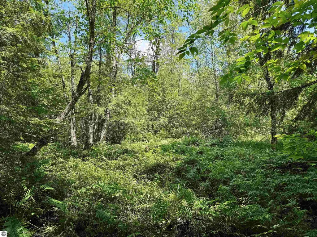 Picture 30
