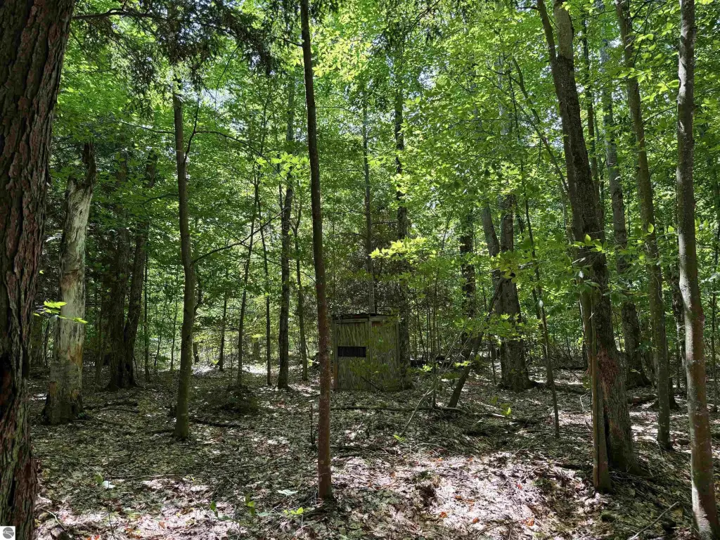 Picture 34