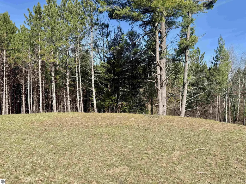 Picture 11