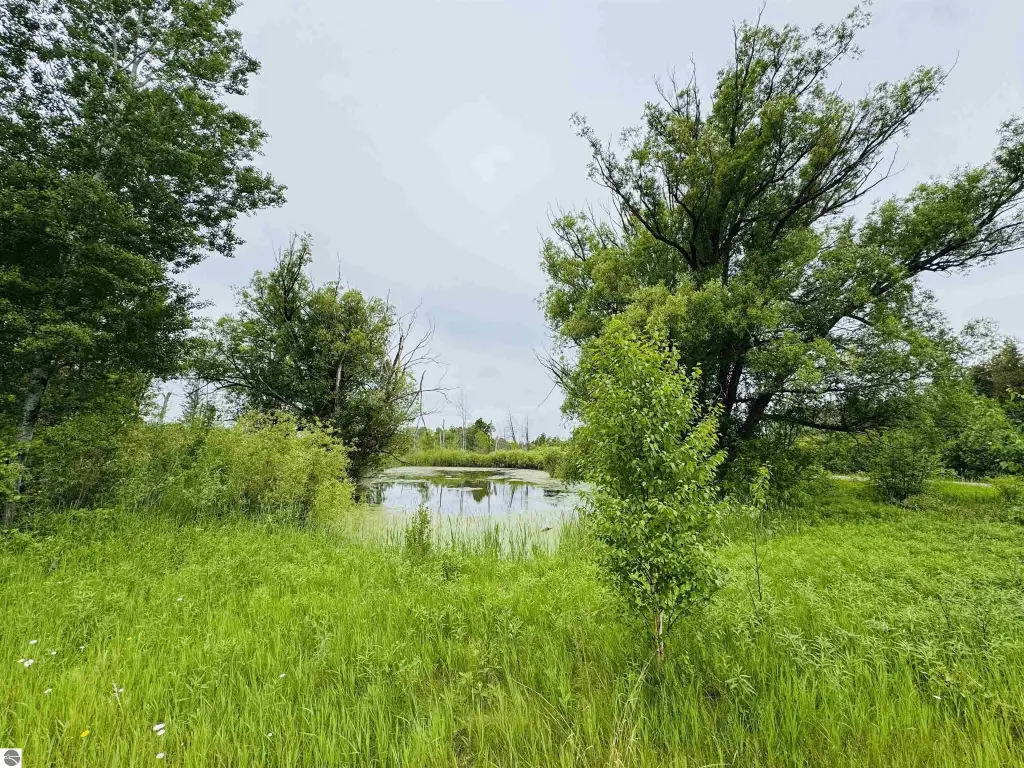 Picture 19