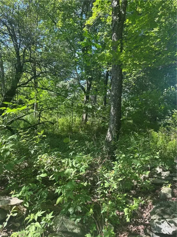 Picture 23