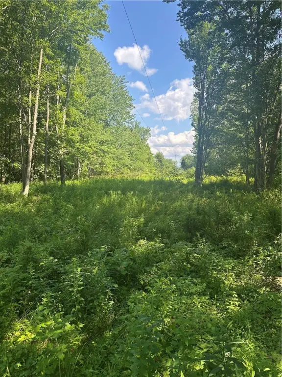 Picture 29