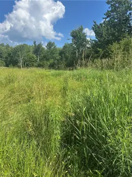 Hunting Land with Wetlands