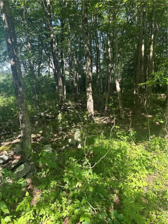 Picture 24