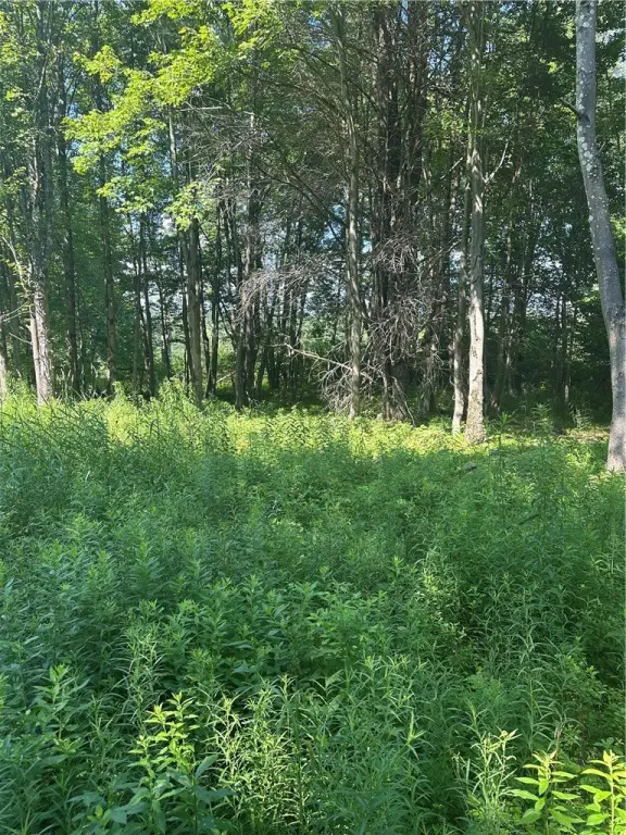 Picture 36