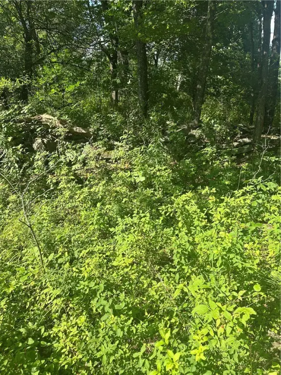 Picture 25