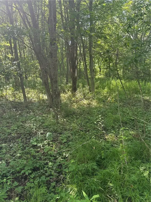 Picture 32