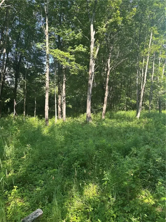 Picture 30