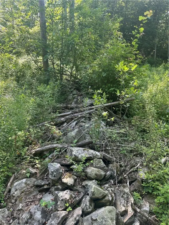 Picture 22