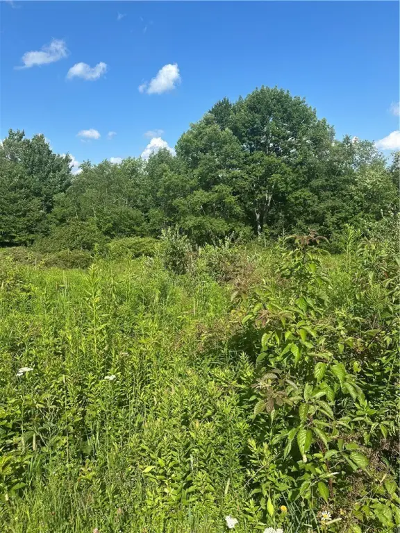 Picture 17