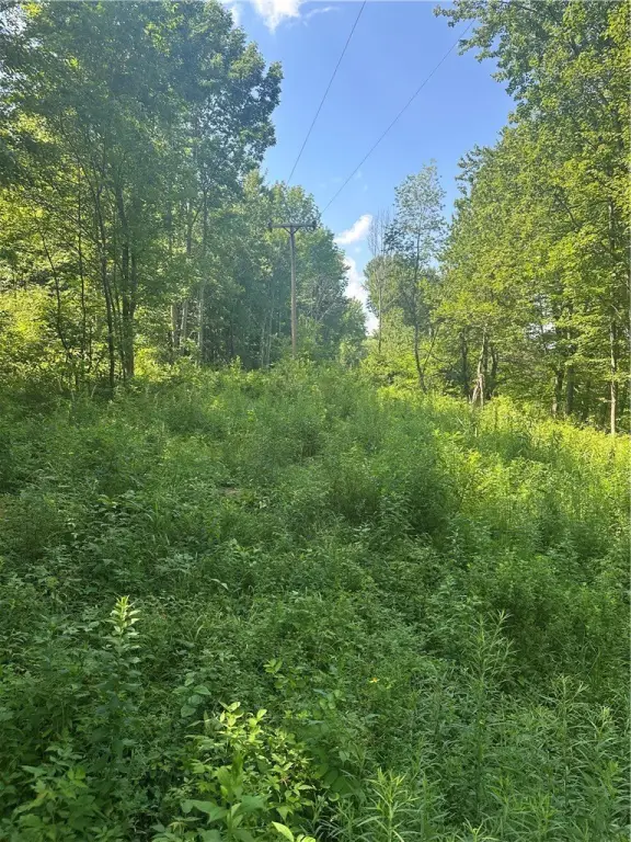 Picture 28