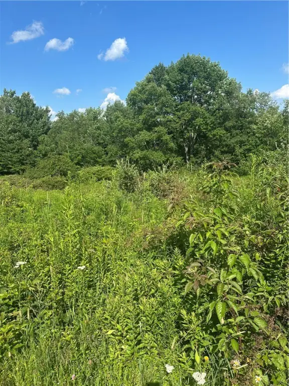 Picture 18