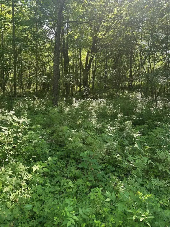 Picture 27
