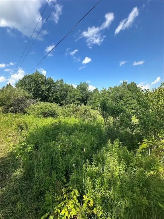Picture 19