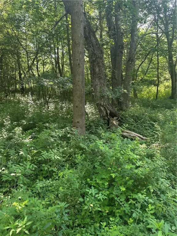 Picture 26